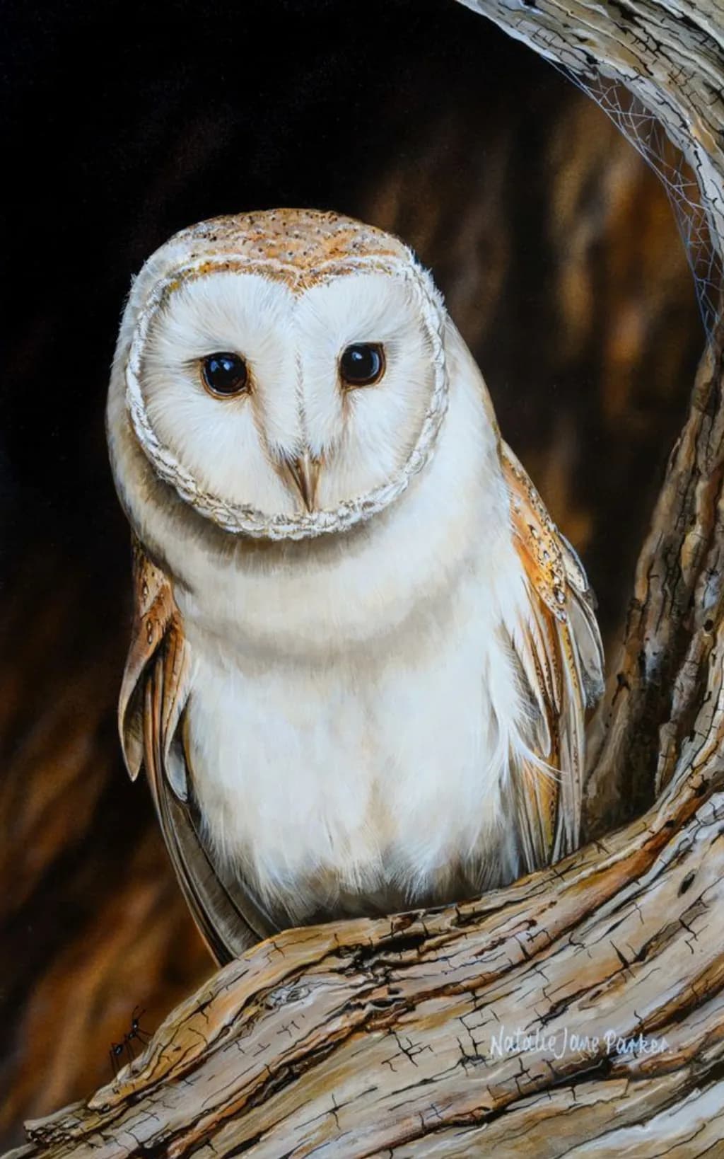 Silent Stare