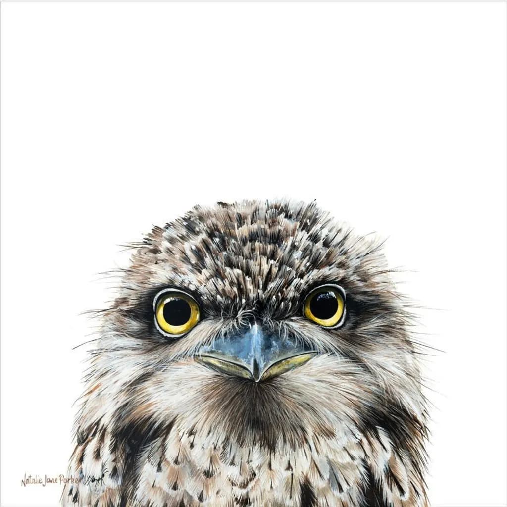 Tawny frogmouth - Australian Wildlife Portrait