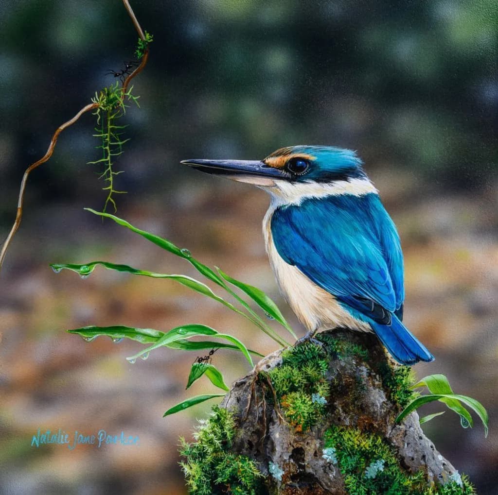 Quiet Contemplation