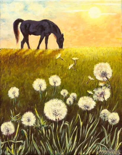 Dandelion Dreams