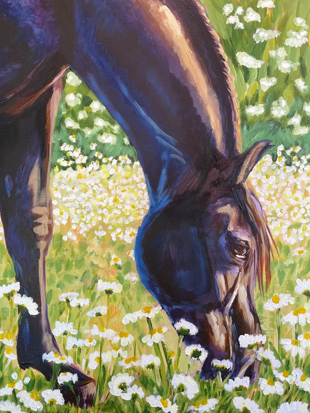 Knightly in Daisies 
