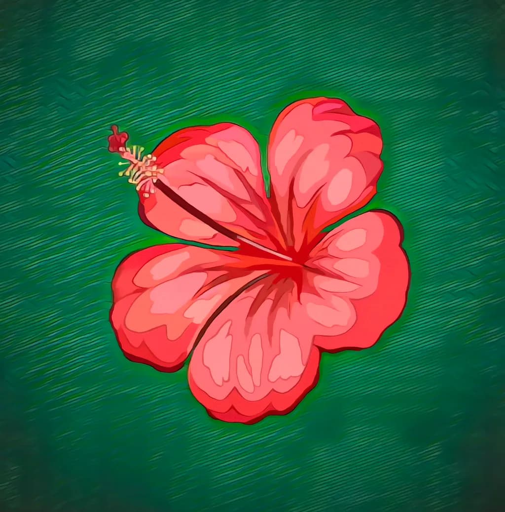 Hibiscus Bloom