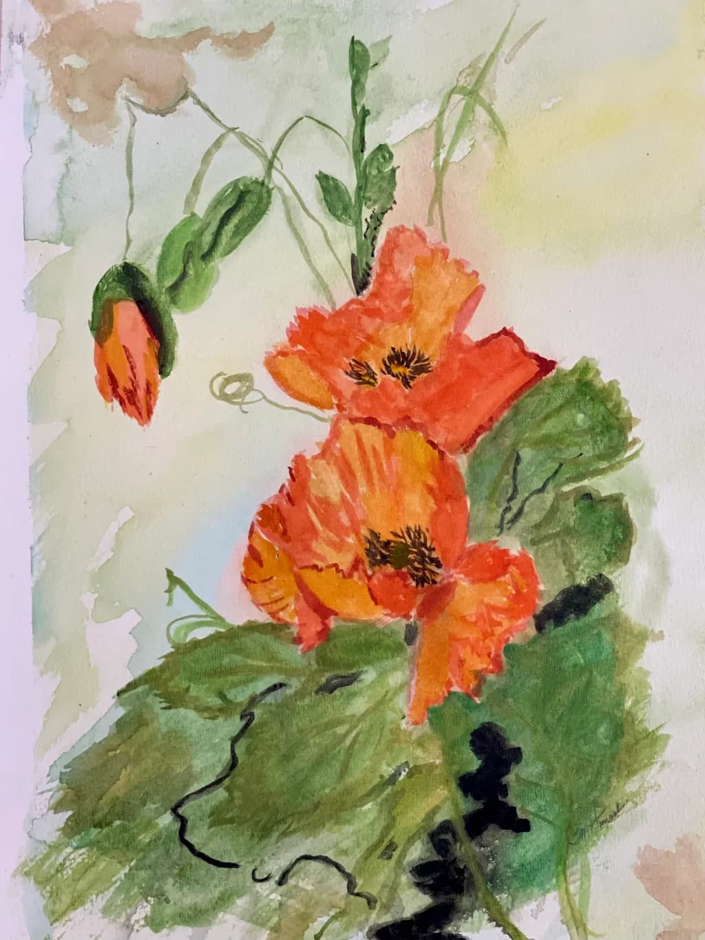 Crimson Poppies