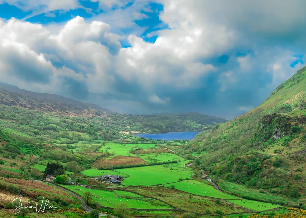 Wales Valley Vista