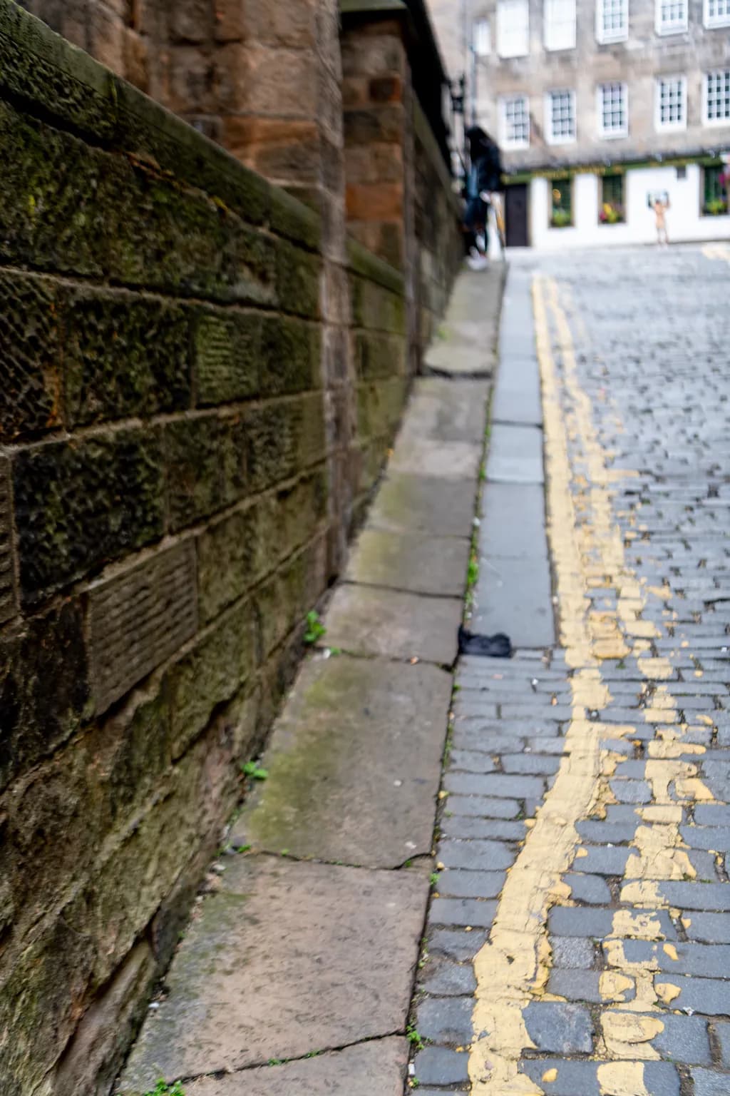 Whispers of the Cobblestone: A Journey Through Time and Texture