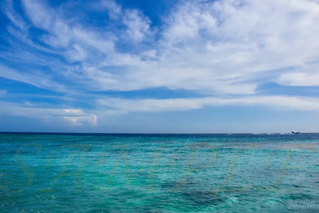 Aruba Skies Ocean View