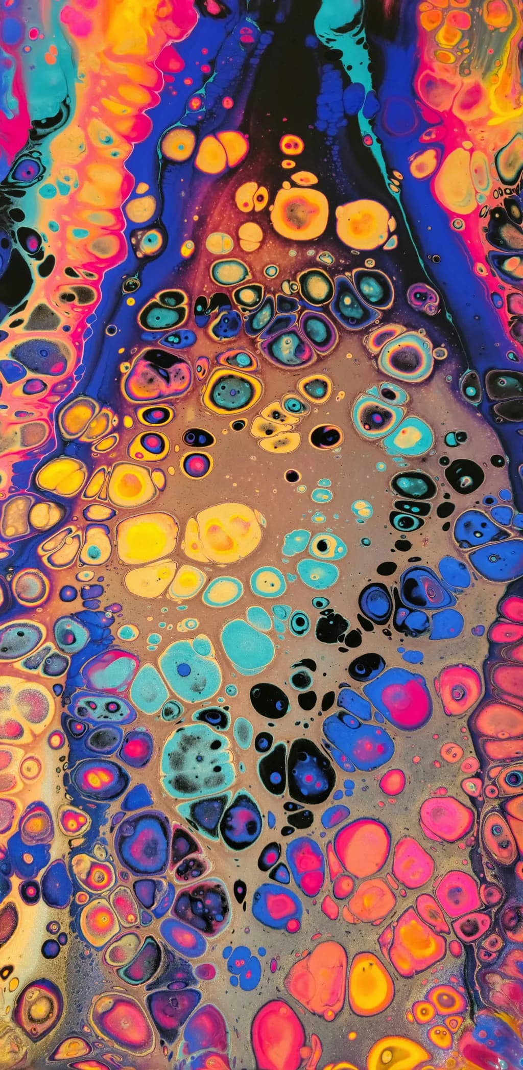 Colorful Fluidity