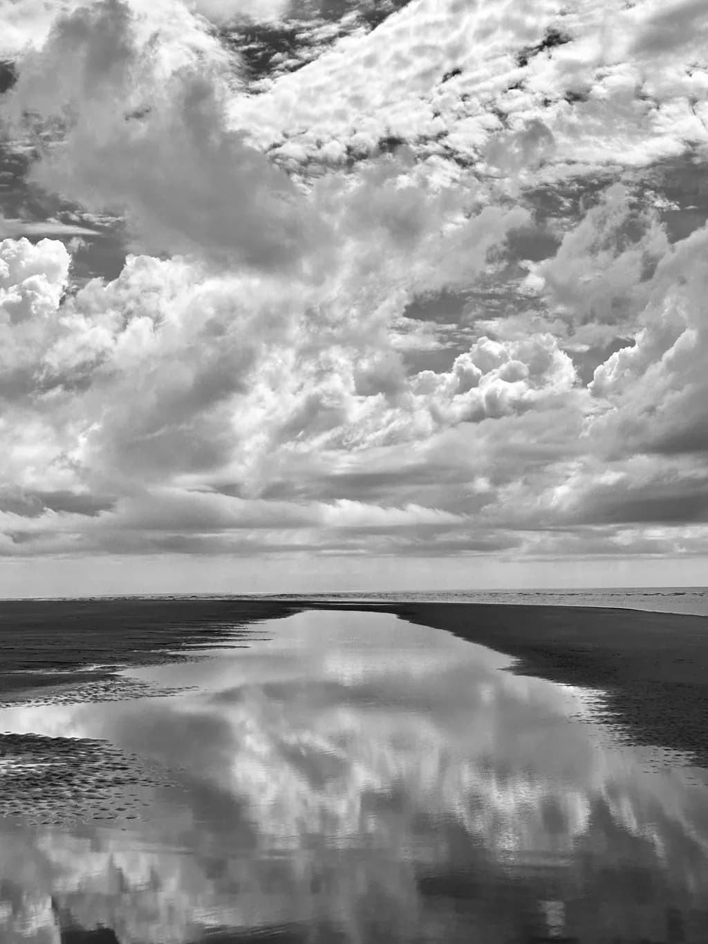 Monochrome Reflections