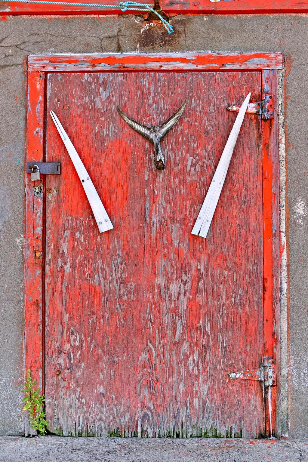 Weathered Red Door with Antlers: A Rustic Decorative Piece for Unique Home Decor