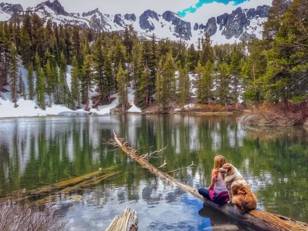 Serenity in Nature: A Reflective Moment with Companionship by the Water's Edge