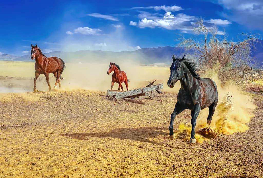 Wild Freedom: Horses in Motion Across the Dusty Plains of the West