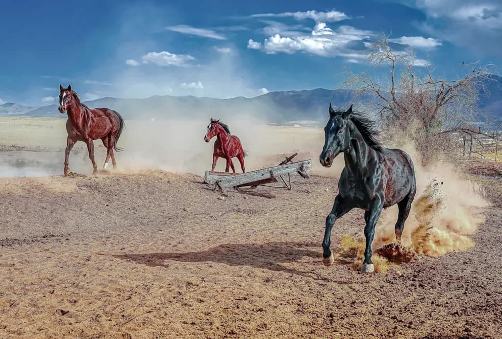 Wild Freedom: A Dusty Dance of Horses in the Heart of the West