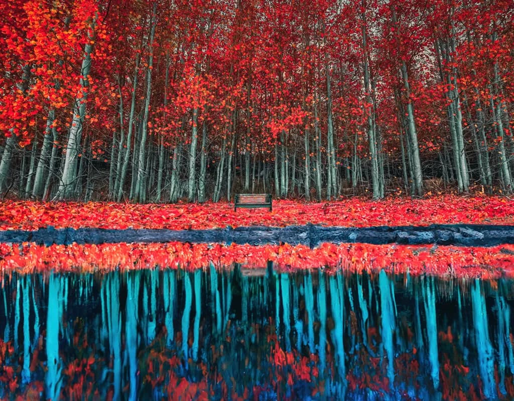 Autumn Reflections: A Serene Escape into Nature's Vibrant Palette