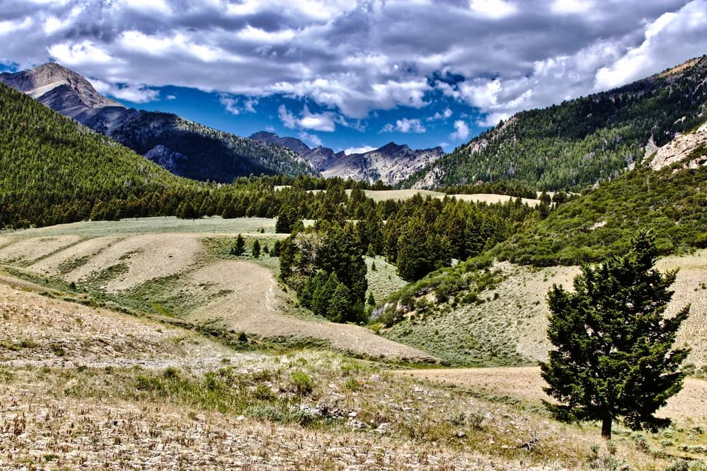 Mountain Serenity