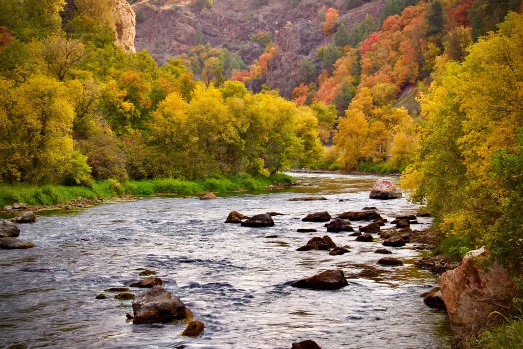 Autumn River