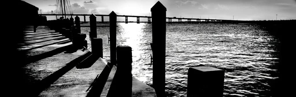 Caloosahatchee Shadows