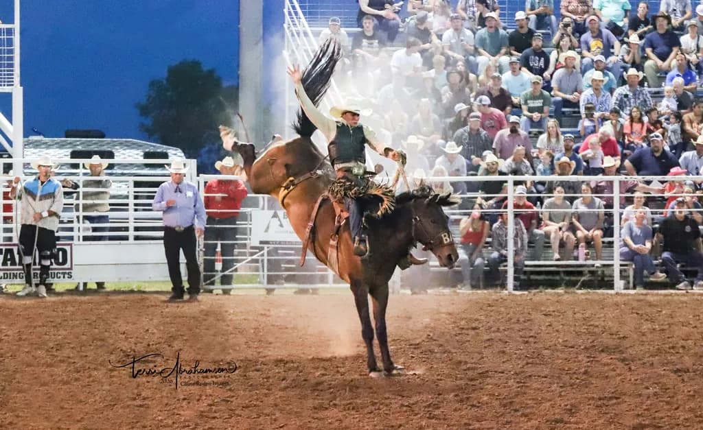 Rodeo Bronco Ride