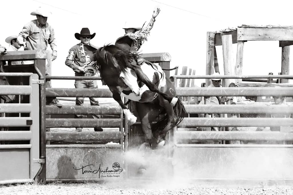 Bronc Happy Dance