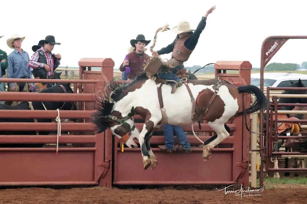 Rodeo Action by Terri Abrahamsen