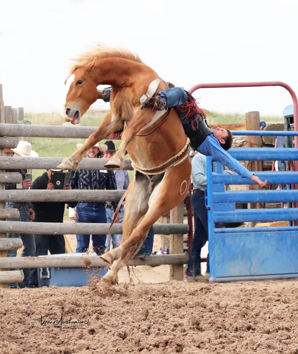 Bucking Bronco Challenge