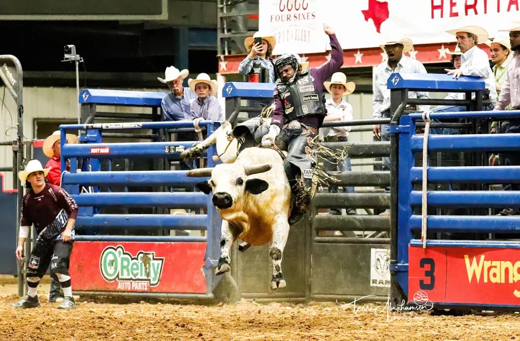 Rodeo Rush
