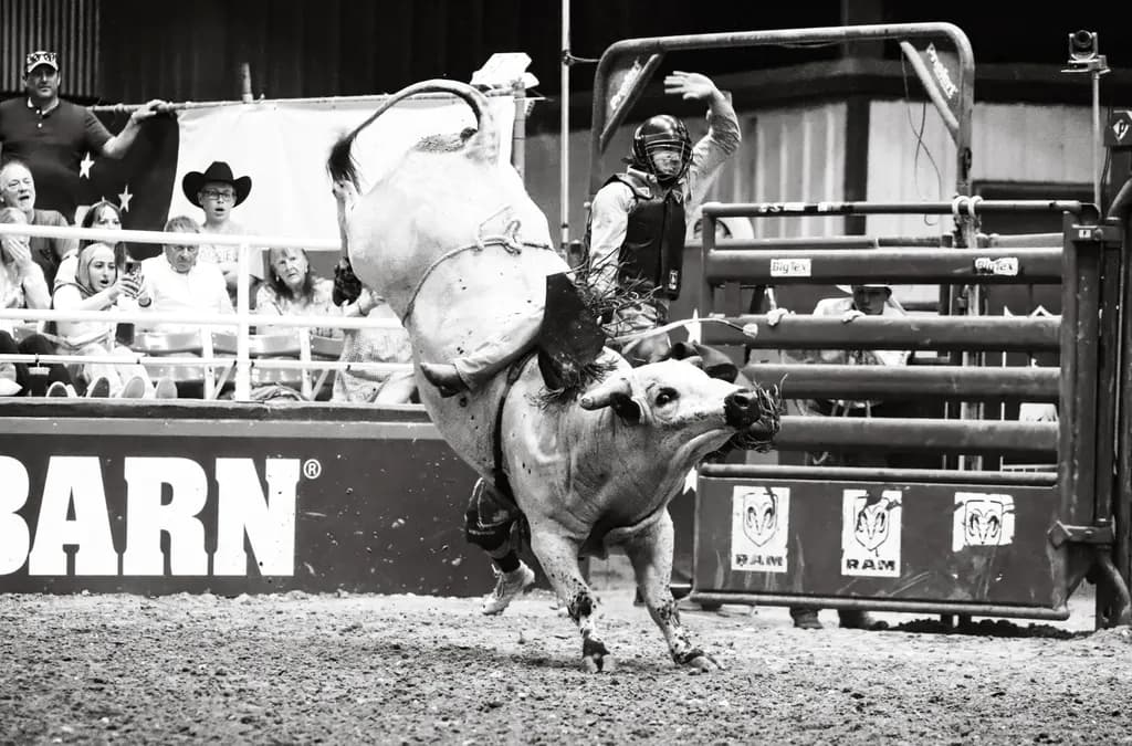 Rodeo Rampage