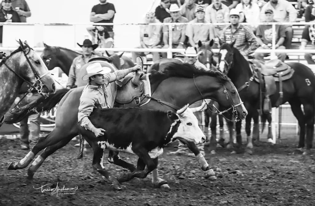 Rodeo Pursuit