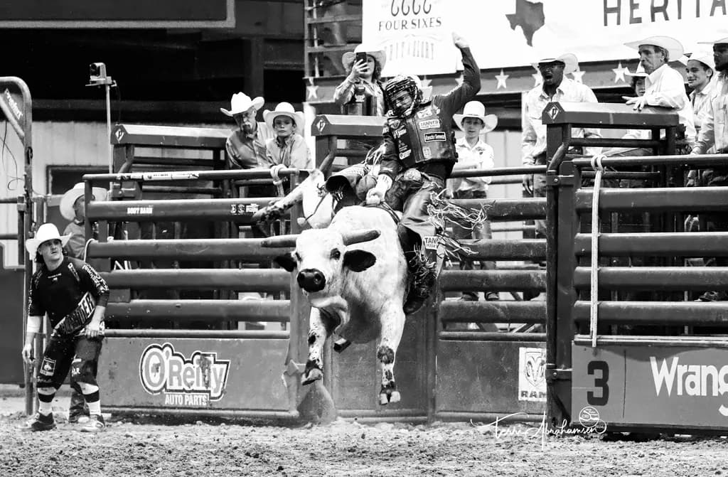 Bull Rider in Action