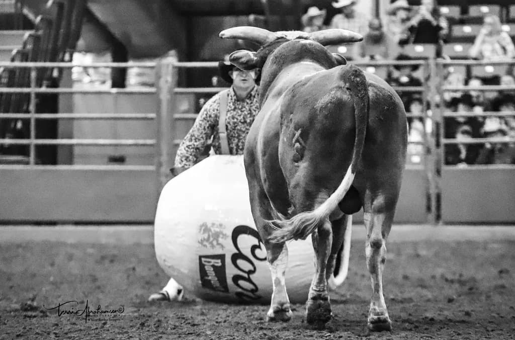 Bull Rush