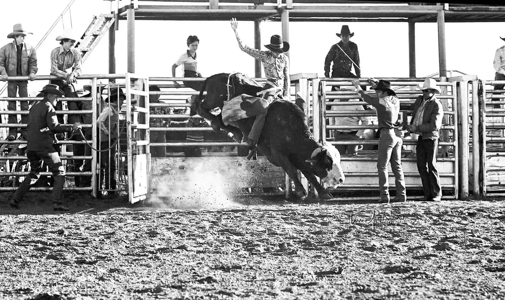 Rodeo Release