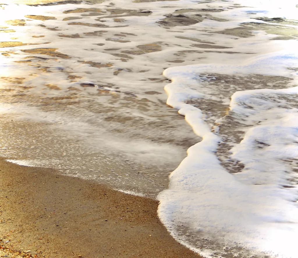 Soft Surf Foam