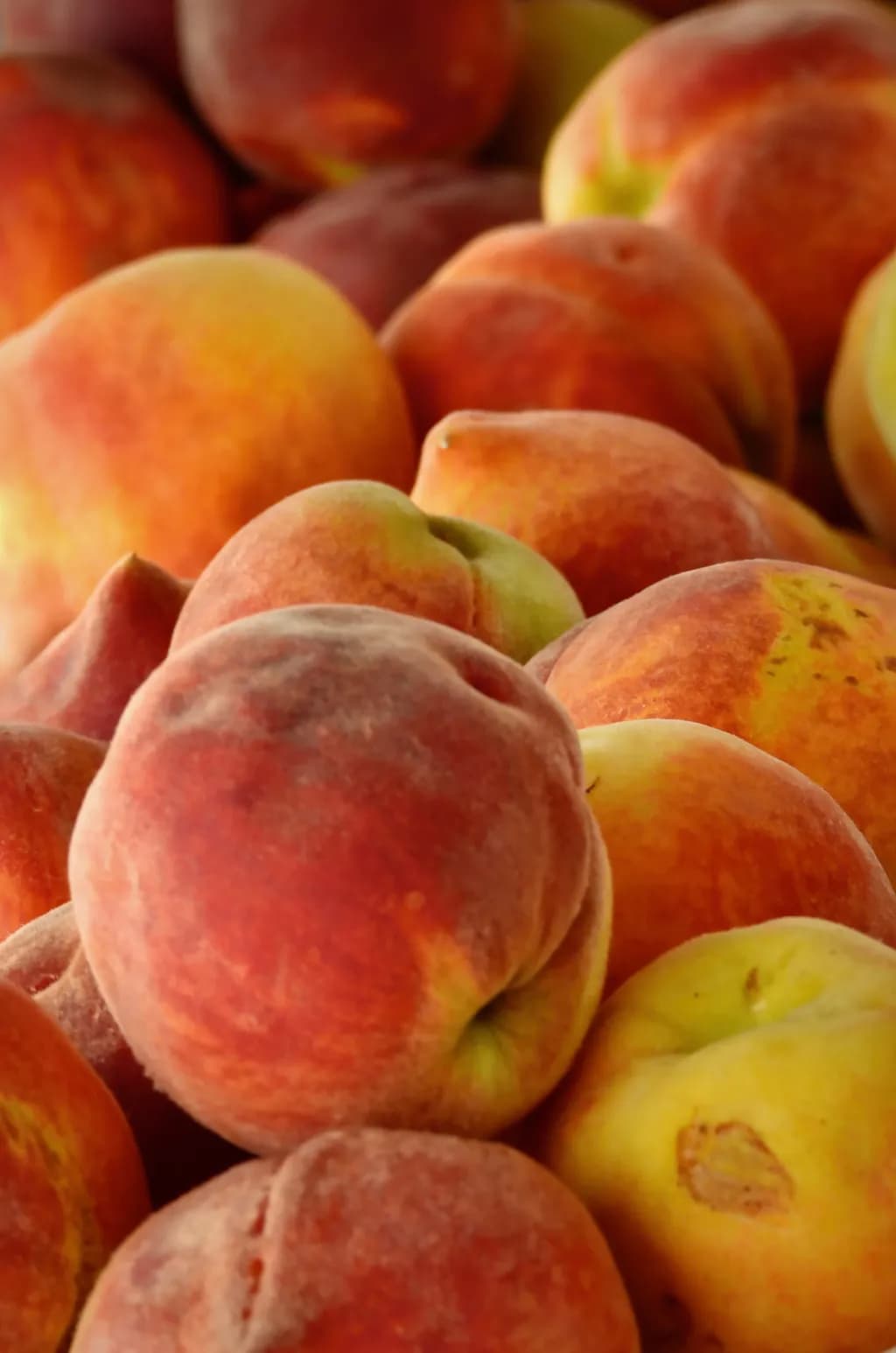 Sweet South Carolina Peaches