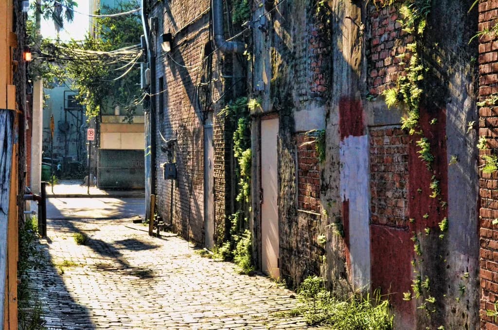 Alley 48