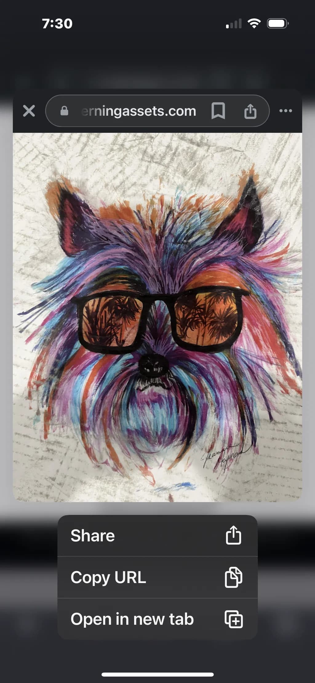 Colorful Canine Coolness