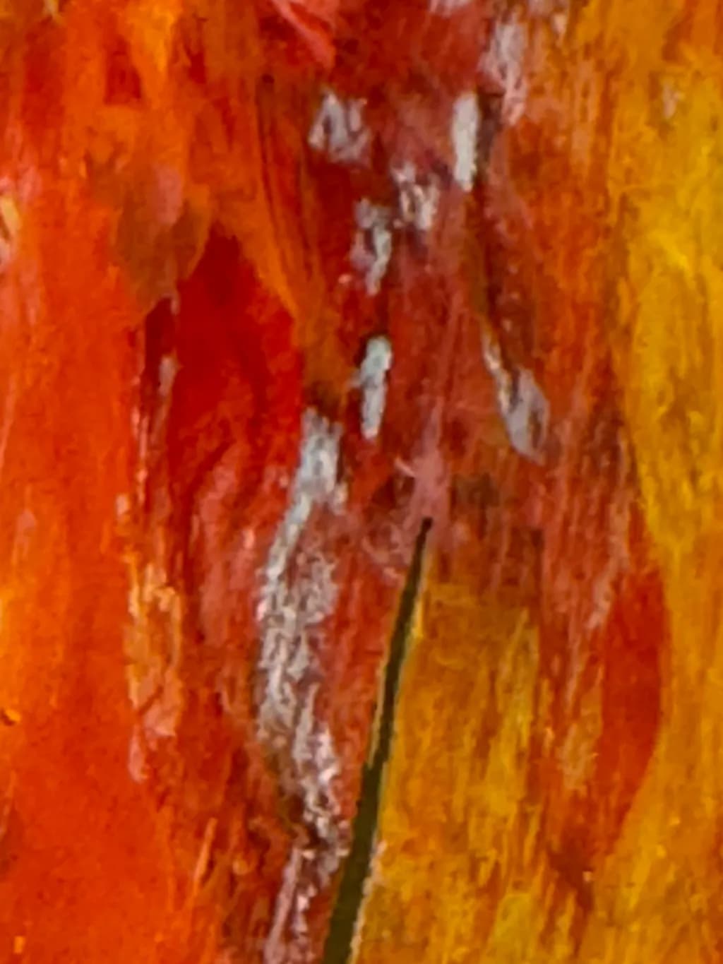 Embers of Autumn: A Vibrant Dance of Color and Emotion in Vermont's Landscape