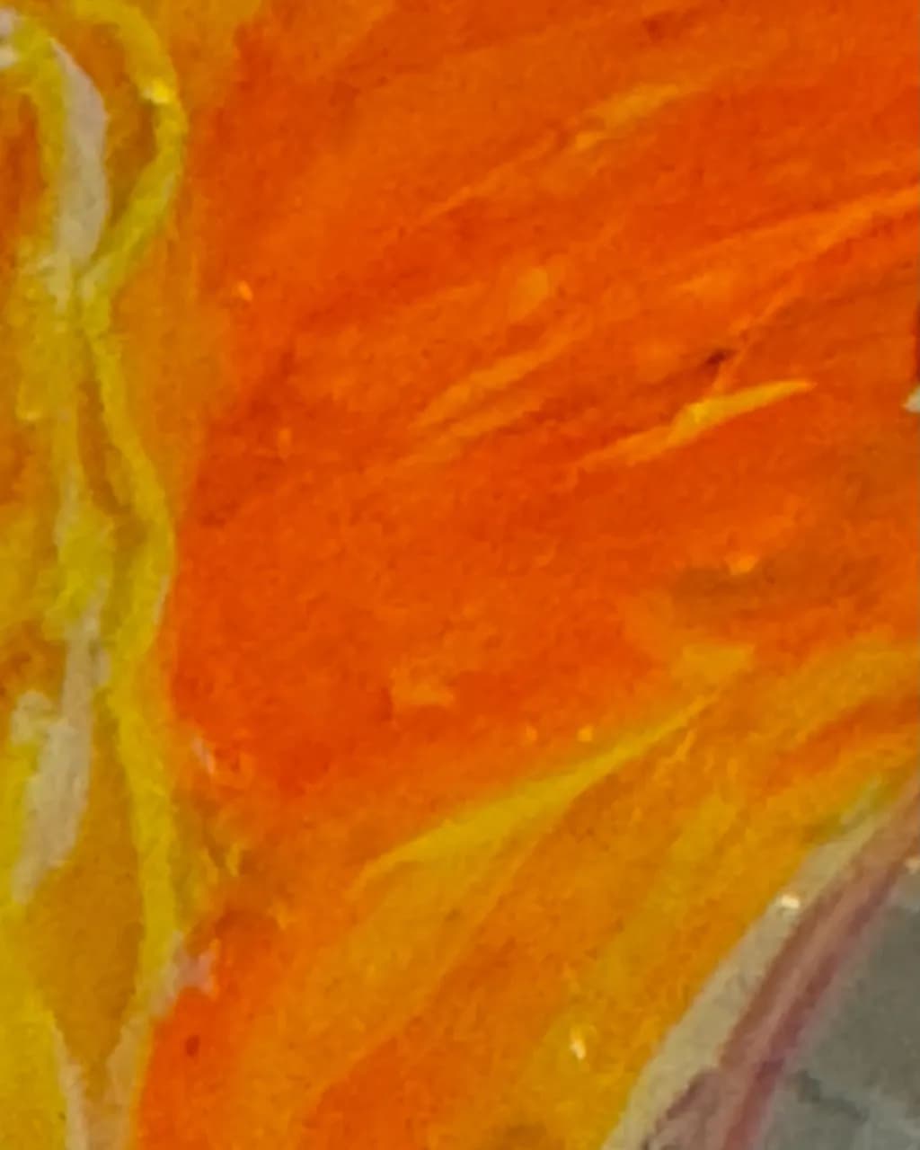 Ember Glow: A Vibrant Dance of Warmth and Light in Vermont's Nature Essence