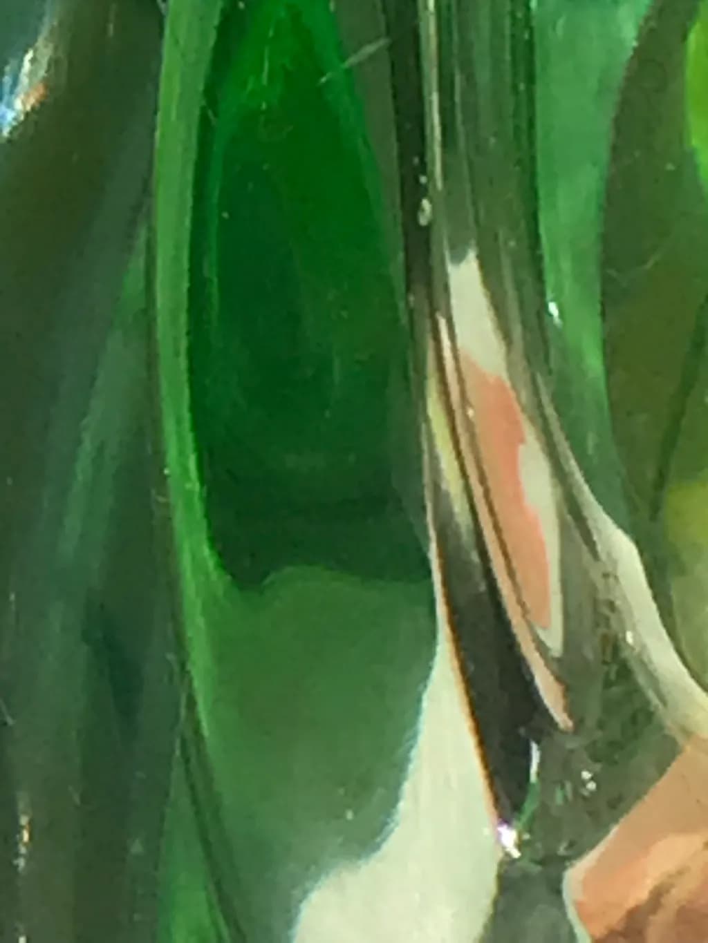 "Emerald Reflections"