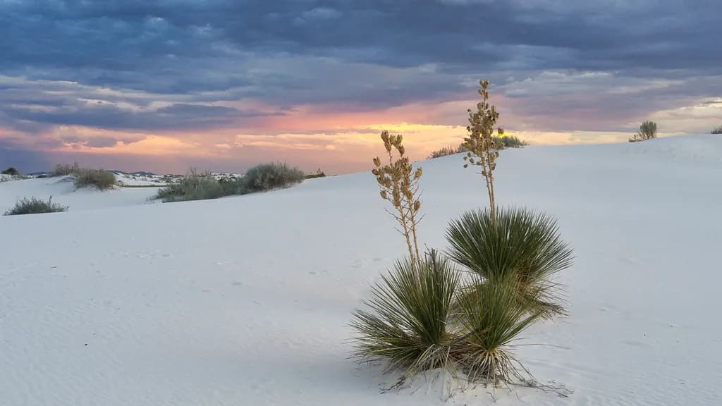 Whispers of the Desert: A Serene Sunset Over White Sands