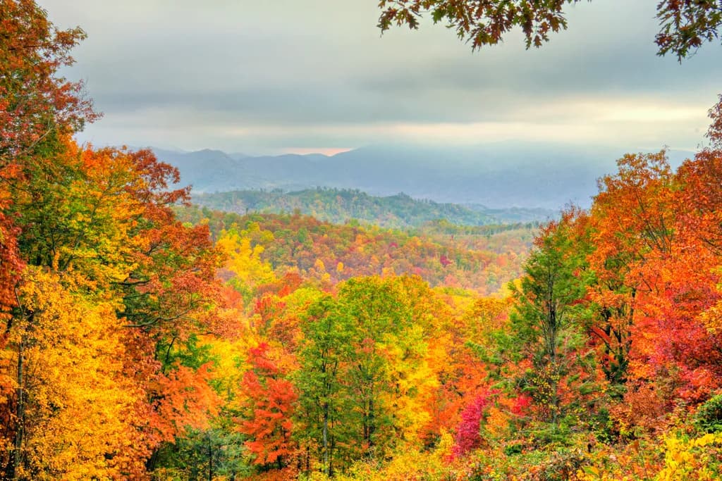 Autumn's Embrace: A Vibrant Tapestry of Colorful Foliage in the Smoky Mountains