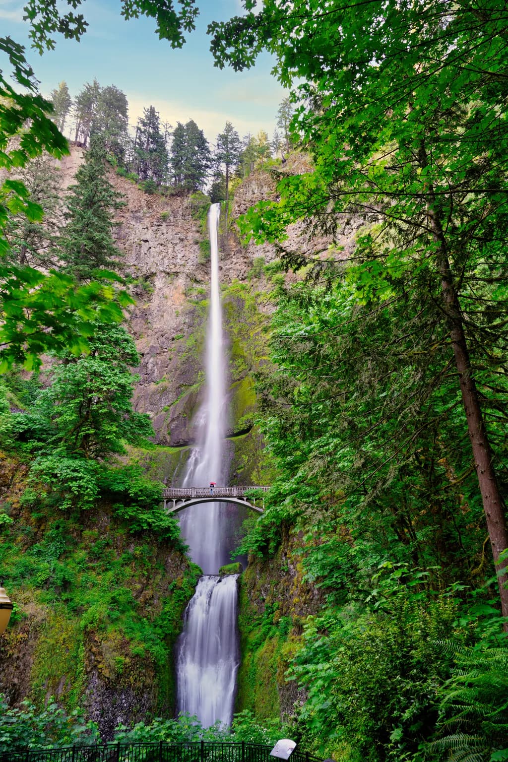 Whispers of Nature: The Majestic Multnomah Falls in Lush Greenery