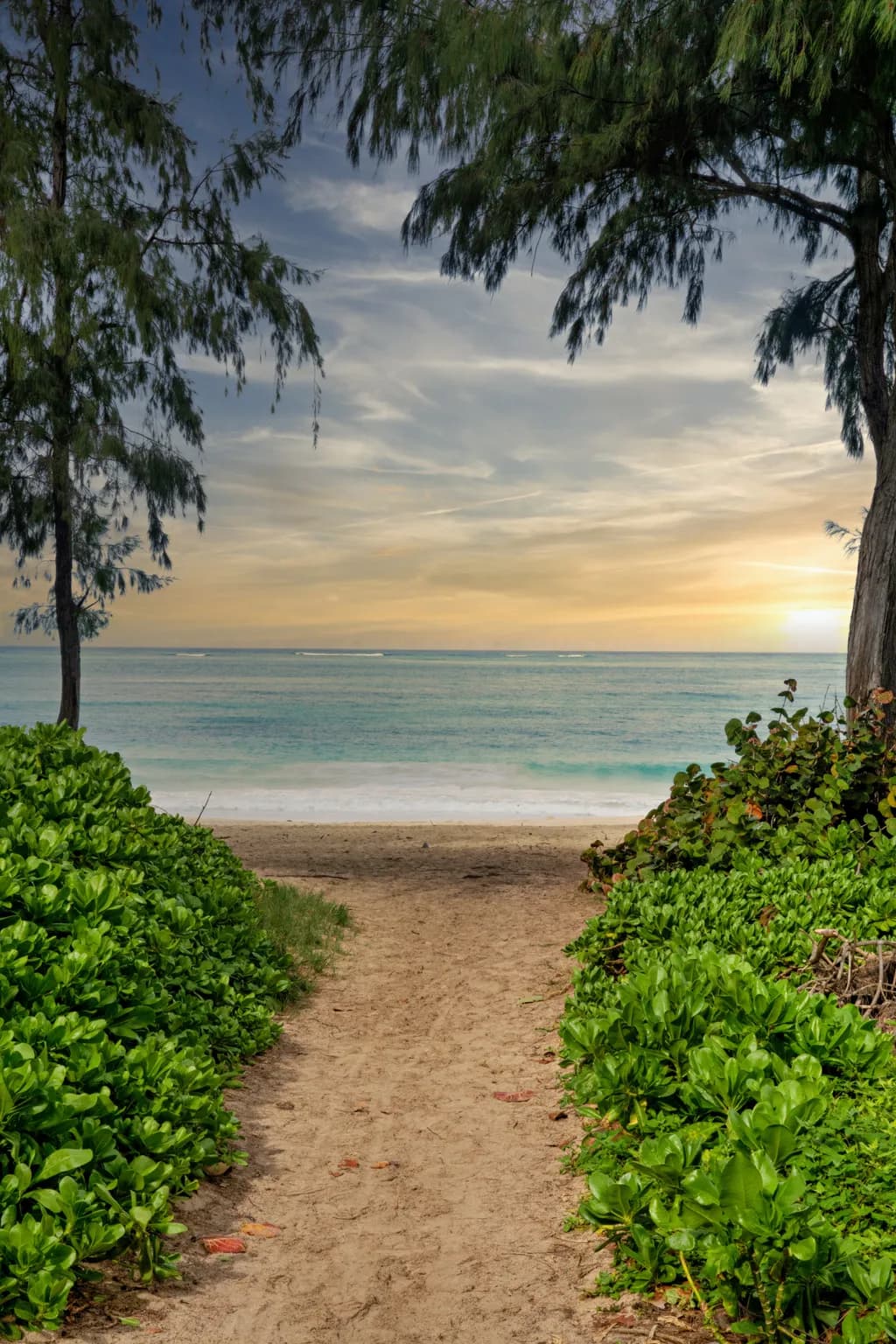 Serene Pathway to the Ocean's Embrace: A Tranquil Beach Escape at Sunset
