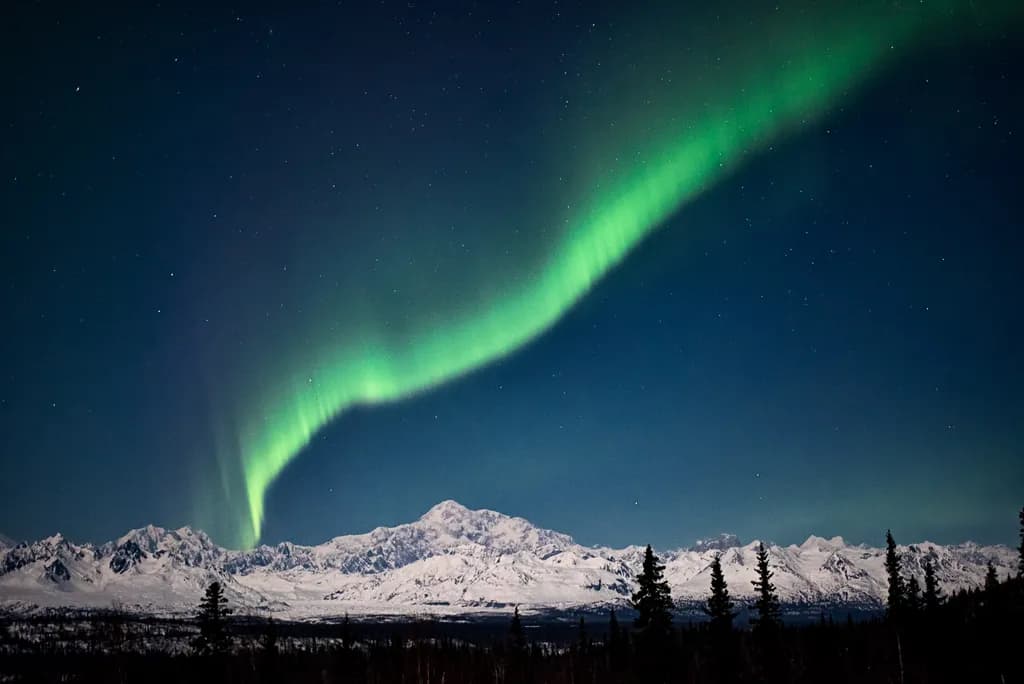 Aurora Majesty