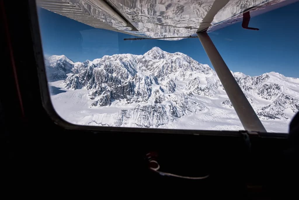 Aerial Majesty