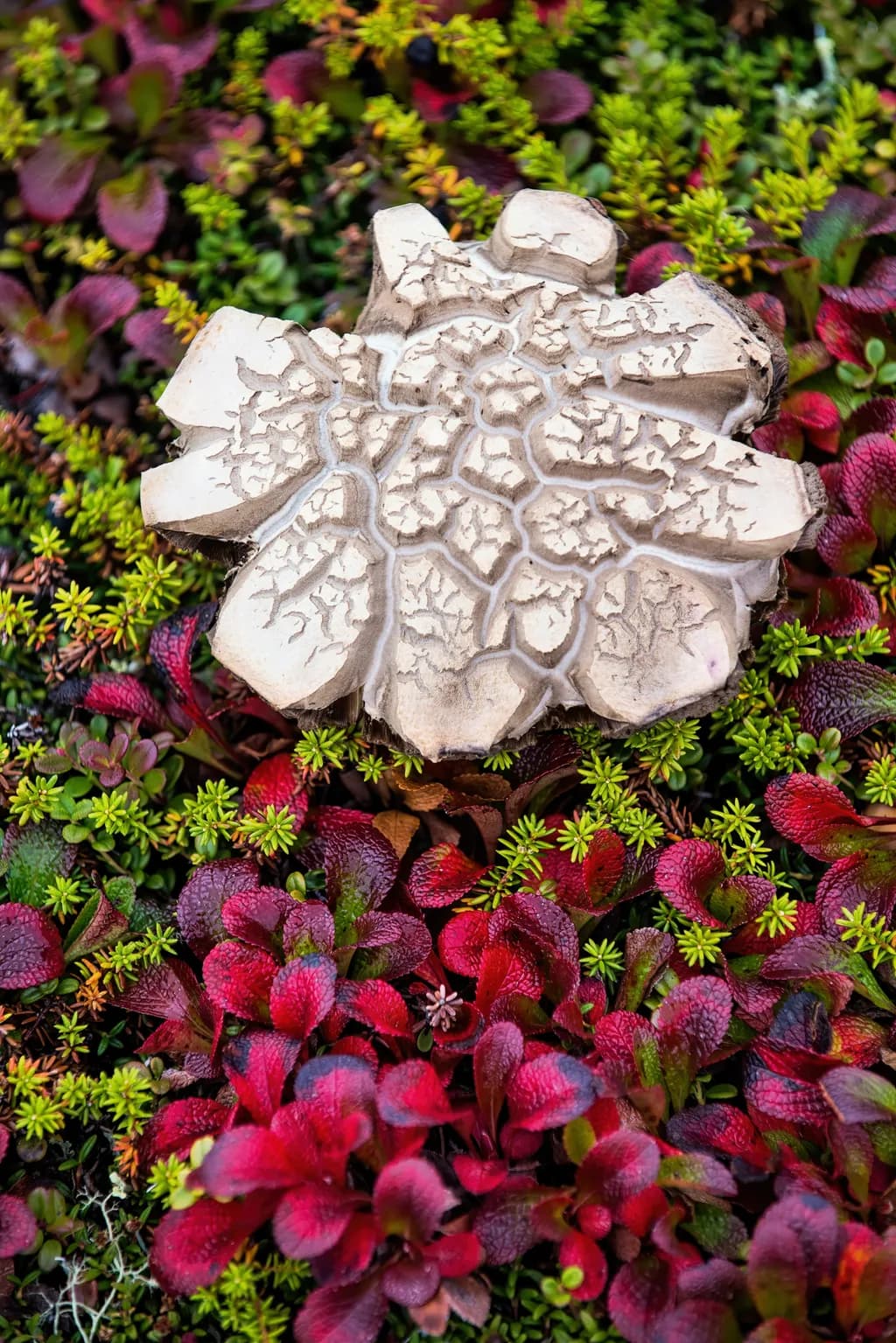Textured Harmony
