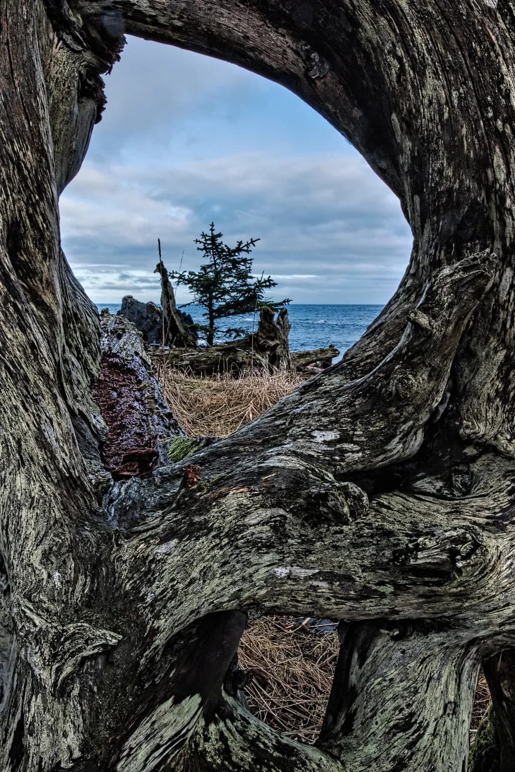 Framed by Nature