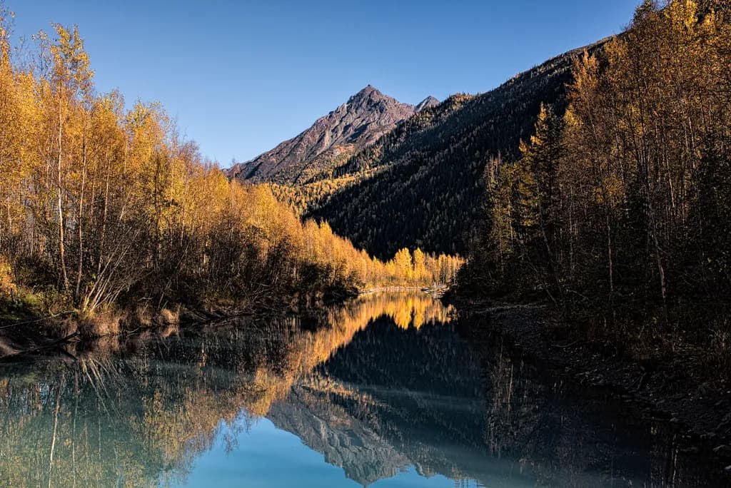 Autumn Reflections