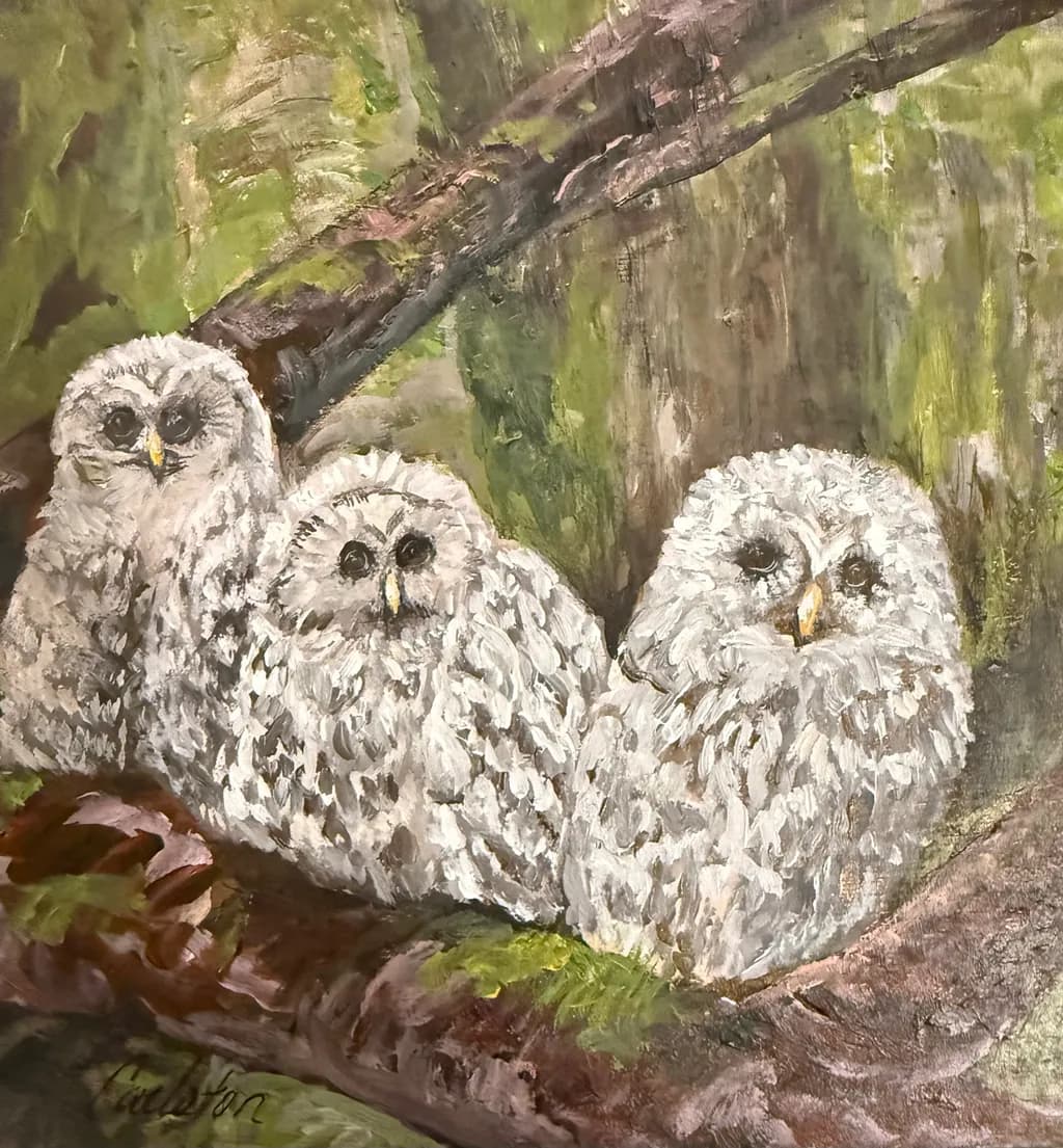 Trio on a Branch