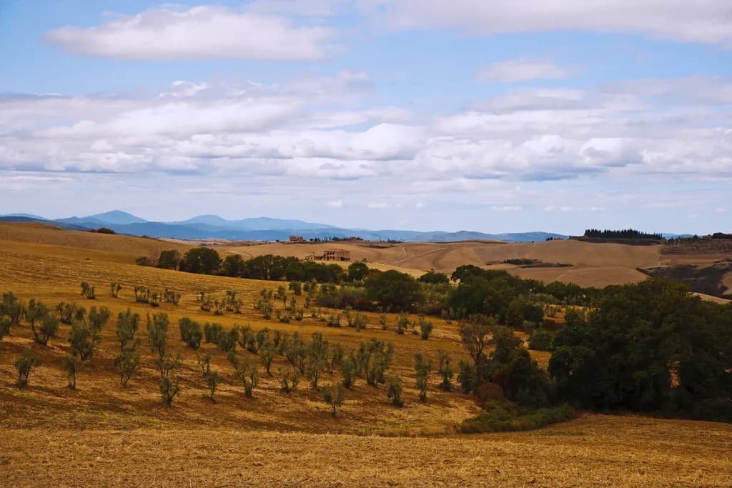 Tuscan Landscape