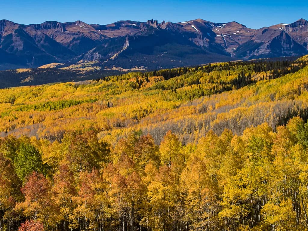 Golden Embrace: A Symphony of Autumn in the Majestic Mountains