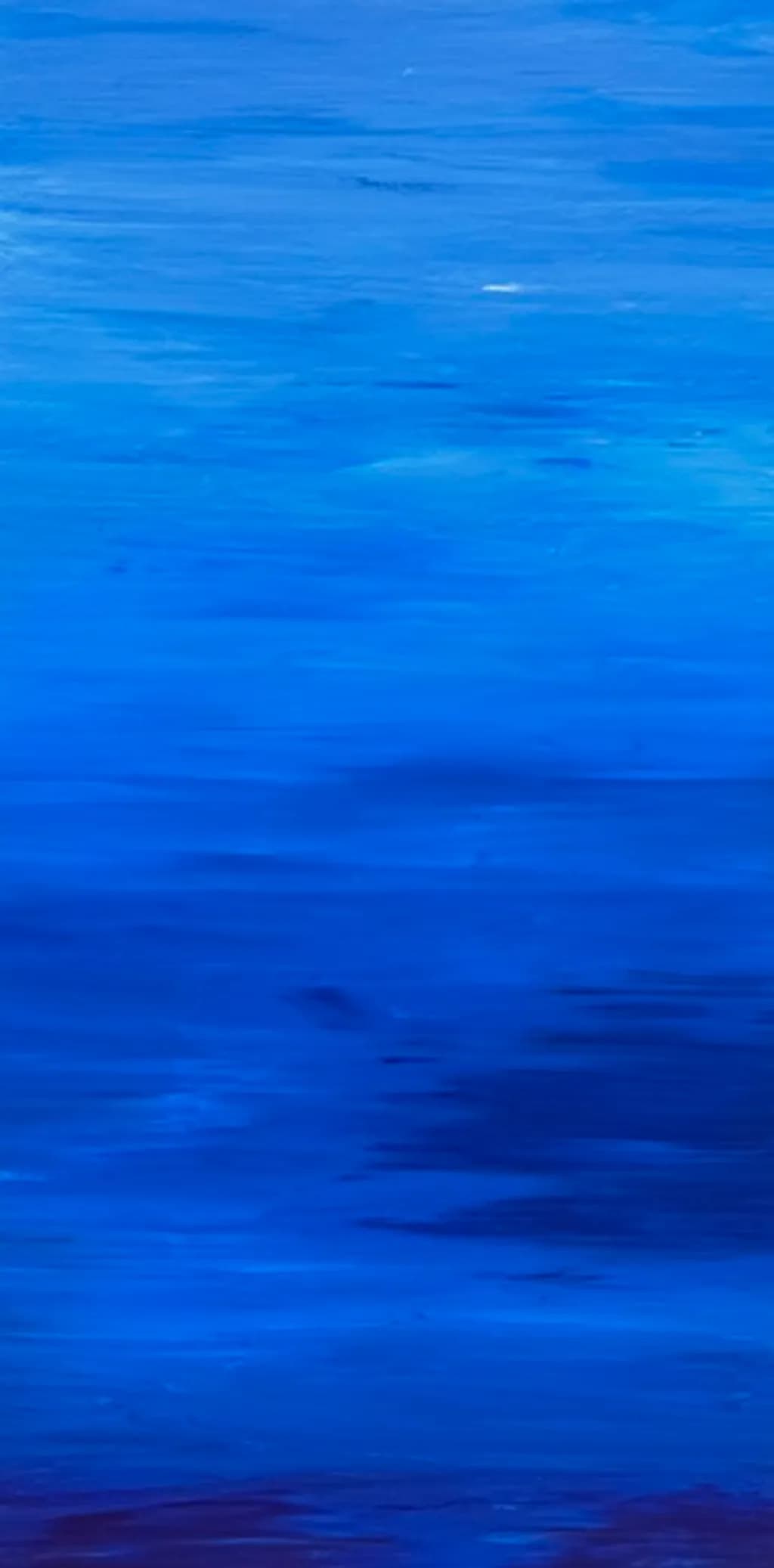 Ocean’s Quiet Pulse
